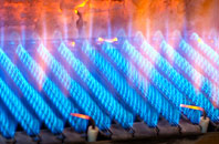 Hertford Heath gas fired boilers